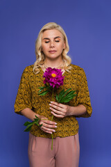 blonde woman in blouse holding purple flower with green leaves isolated on violet.