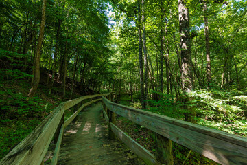 Fototapeta premium Hiking in Persimmon Ridge Park, Jonesborough, TN