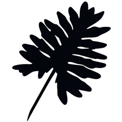 Palm leaf silhouette. Vector graphics