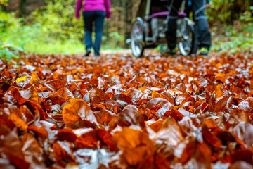 Familie spaziert durch den Herbstwald