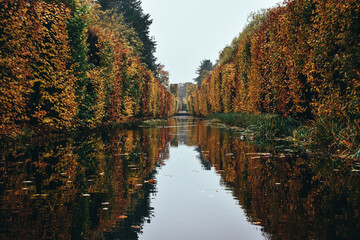 autumn trees reflected in water