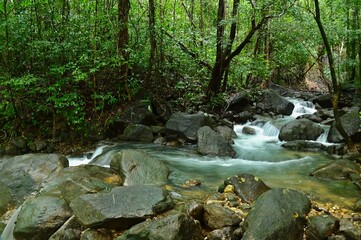 Naklejka na ściany i meble Nature Trail at Ngao Waterfall National Park in Ranong Province