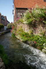 Small river flows throughout beautiful French village Veules-les-Roses, old houses and flowers