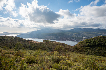 Fototapeta premium Touristic route D141 road from La Ciotat to Cassis, panoramic view on harbour of Cassis, blue sea, limestone's cliffs and green pine forest, vacation in Provence, France