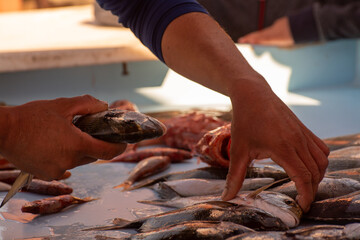 Catch of the day , fresh fish for sale on daily fisherman's market in small old port in Cassis, Provence, France