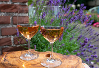 French rose wine from Provence, two glasses of wine with purple lavender flowers on background