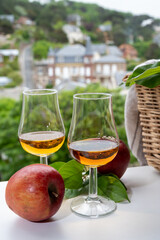 Tasting of strong alcoholic drink calvados made from apples in Normandy, Calvados region, France