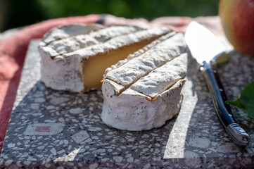 French heartshaped neufchatel cow cheese, Neufchâtel-en-Bray, Normandy, France