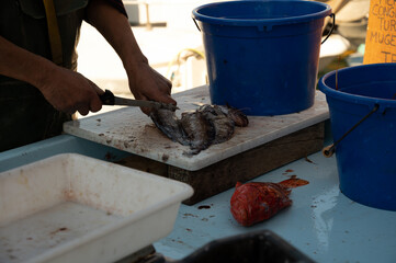 Catch of the day , fresh fish for sale on daily fisherman's market in small old port in Cassis, Provence, France