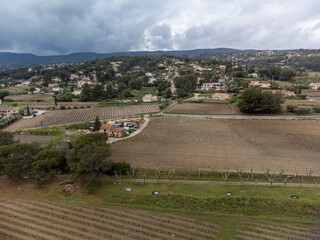 Aerial panoramic view on rows of grape plants on vineyards in Bandol wine making region, Provence,...