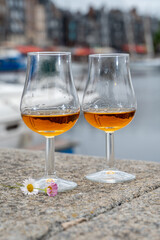 Tasting of apple calvados drink in old Honfleur harbour with boats and old houses on background, Normandy, France