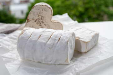 French cheeses heartshaped, squared and cylindrical neufchatel cow cheese with mold on white paper, Normandy, France