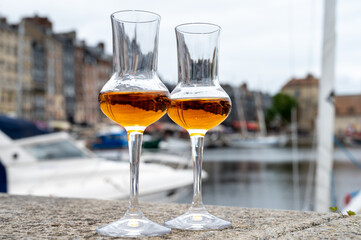 Tasting of apple calvados drink in old Honfleur harbour with boats and old houses on background, Normandy, France