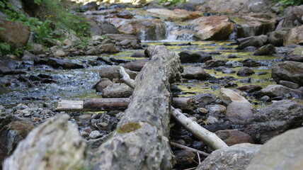 Fototapeta premium river
