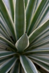 Shift in Perspective