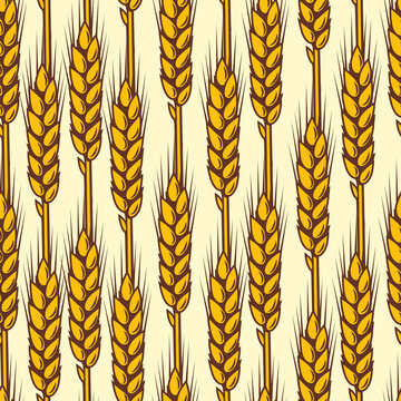 Seamless pattern with wheat. Agricultural image with natural ears of barley or rye.