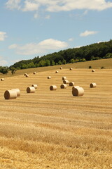 Fototapeta premium straw bales stacked on the field