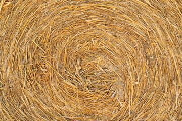 straw bales stacked on the field