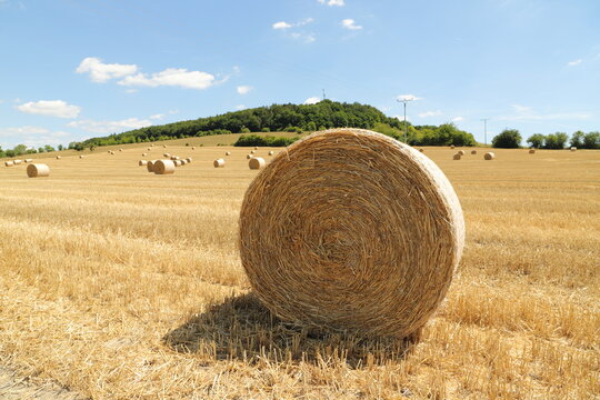 straw bales stacked on the field