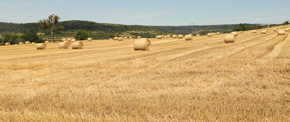 straw bales stacked on the field