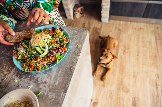 Crop woman garnishing quinoa salad