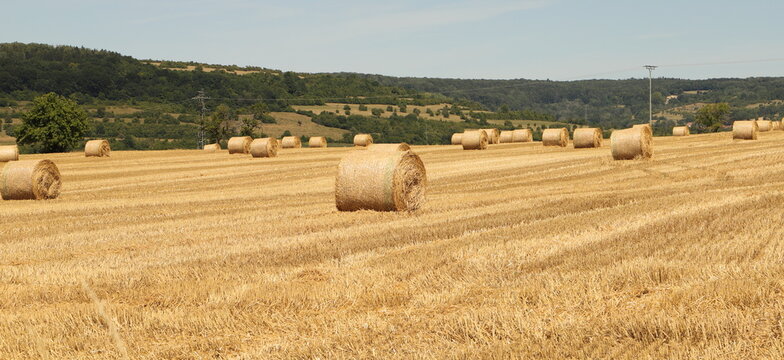 straw bales stacked on the field