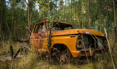 
rusty truck in the middle of the forest, urcos, cusco, peru.