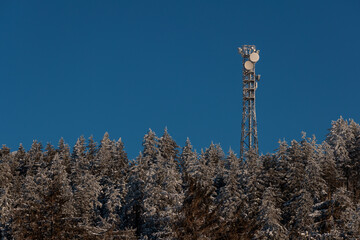 antenna in the forest