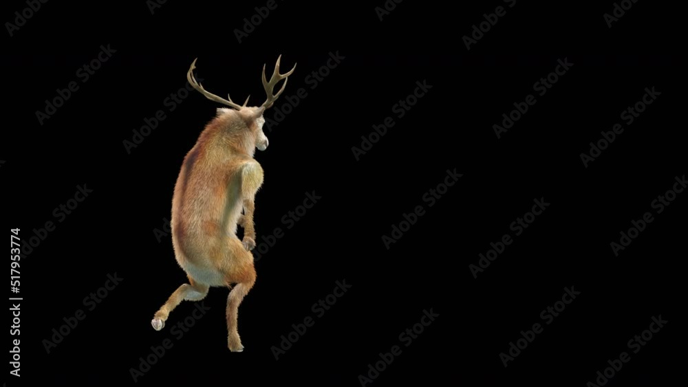 Wall mural deer dancing cg fur 3d rendering animal realistic cgi vfx animation loop composition 3d mapping cart