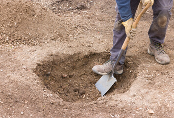 Digging a hole ready to plant a tree, UK garden