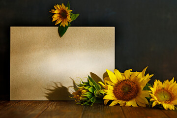 autumn still life sunflowers and copy space on wooden table on dark background