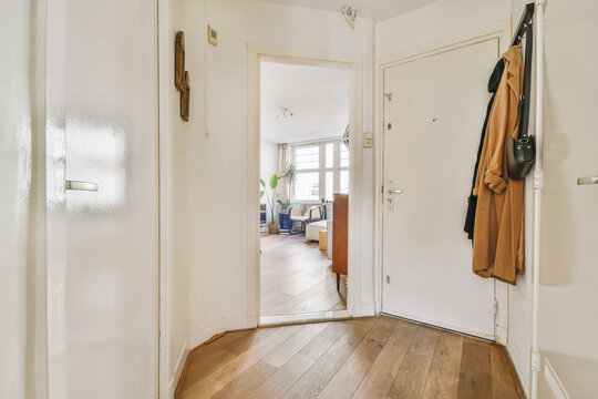 Trendy jackets hanging in corridor of modern apartment