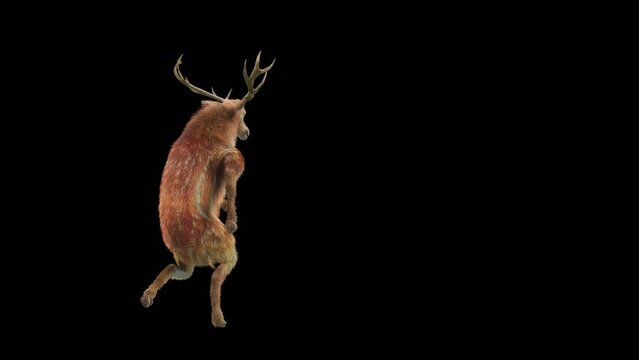 Deer Dancing CG fur 3d rendering animal realistic CGI VFX Animation Loop  composition 3d mapping cartoon,  included in the end of the clip with Alpha matte.