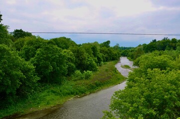 Forest with water stream and forest