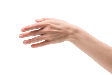 Woman hand isolated on a white background.