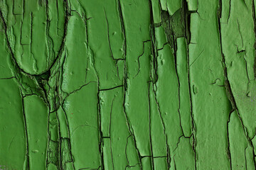Close-up grungy green painted wood plank as background texture.