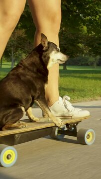 SLOW MOTION CLOSE UP: Young woman rides her e-longboard through the park with her cute senior dog. Unrecognizable sporty girl and miniature pinscher cruising through nature on an electric skateboard.