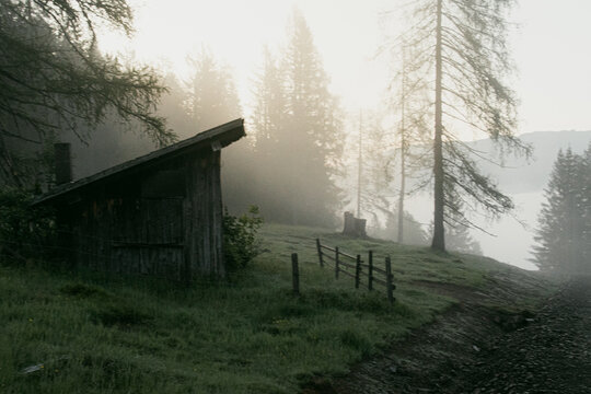 Morgennebel mit Waldh&uuml;tte