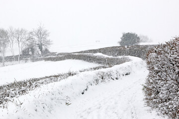 Track in the winter with snow