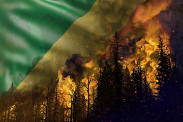 Forest fire natural disaster concept - heavy fire in the woods on Congo flag background - 3D illustration of nature