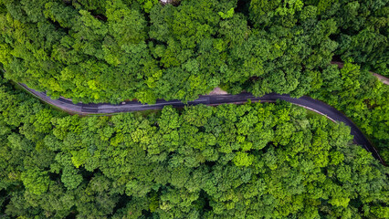 aerial view road in the forest