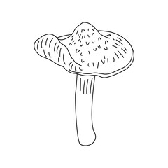 Mushroom Line Art Logo illustrations. Hand drawn fungi. vector.
