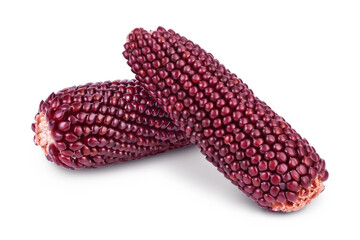 Purple corn or maize isolated on white background with full depth of field