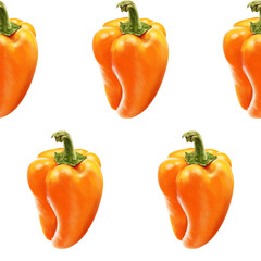 Illustration realism seamless pattern vegetable paprika orange color on a white isolated background. Sweet bell pepper. High quality illustration