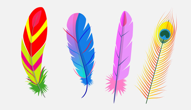 Realistic colorful feather of birds set. goose 

feather isolated on white background. goose 

feathers of various shapes and colors.

