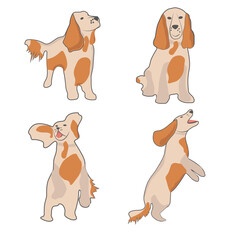 spaniel in different movements - emotions