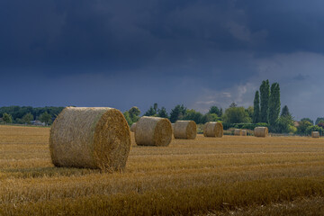 Paysage campagne 1370