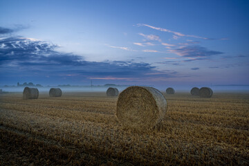 Paysage campagne 1372