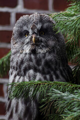 the gray owl - puszczyk mszarny - sowa mszarna - Strix nebulosa - obrazy, fototapety, plakaty