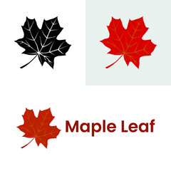Autumn maple leaf vector on a white background